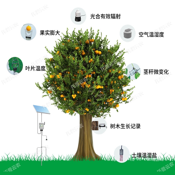 植物生理生態監測系統有哪些功能優勢？