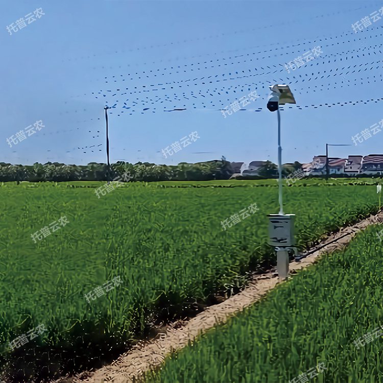 自動趕蛾智能統(tǒng)計桿