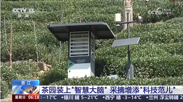 央視、人民網等權威媒體聚焦西湖龍井：托普云農“黑科技”點亮千年茶香智變之路